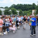 Petropolis Breaks World Record For Dog Wedding | See Almost Every Dog Married