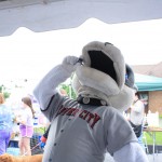img_1190_1024x683