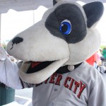 img_1232_1024x683