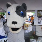 img_1234_1024x683