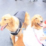 img_1248_1024x683