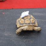 img_1275_1024x683