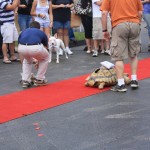 img_1278_1024x683