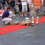 img_1279_1024x683