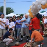 img_1280_1024x683