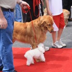 img_1289_1024x683