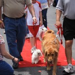 img_1290_1024x683