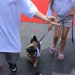 img_1295_1024x683
