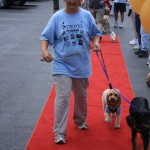 img_1297_512x768