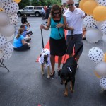 img_1305_1024x683