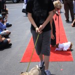 img_1309_1024x683