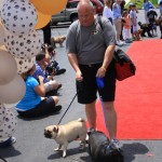 img_1310_1024x683
