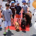 img_1311_512x768