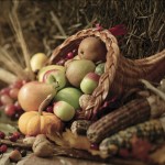 Thanksgiving Movies - What You Should Watch On Turkey Day