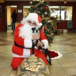 IMG_7300_1322x881