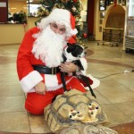 IMG_7303_1322x881