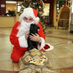 IMG_7317_1322x881