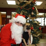 IMG_7375_2527x1685