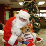 IMG_7449_2527x1685