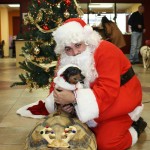IMG_7527_2527x1685