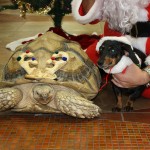 IMG_7540_2527x1685