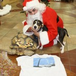 IMG_7555_2527x1685