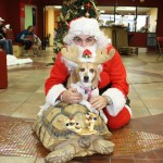 IMG_7630_2527x1685