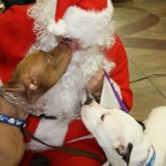 IMG_7661_2527x1685