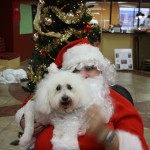 IMG_7680_2527x1685