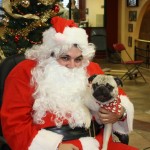 IMG_7738_2527x1685