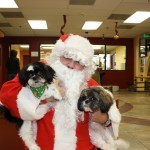 IMG_7790_2527x1685