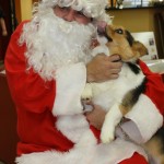 IMG_7800_2527x1685