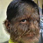 FOX Developing Werewolf Show