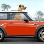The Trailer You've Been Waiting For! "Marmaduke" Starring Owen Wilson
