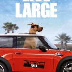Marmaduke