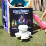 Cats and Dogs Watering Station at Petropolis 103