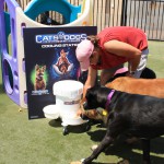 Cats and Dogs Watering Station at Petropolis 104