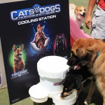 Cats and Dogs Watering Station at Petropolis 111