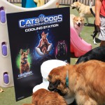 Cats and Dogs Watering Station at Petropolis 113