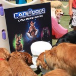 Cats and Dogs Watering Station at Petropolis 114