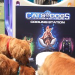 Cats and Dogs Watering Station at Petropolis 115