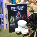 Cats and Dogs Watering Station at Petropolis 123