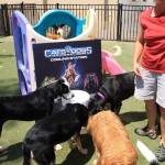 Cats and Dogs Watering Station at Petropolis 130
