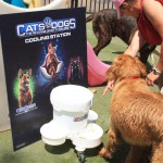 Cats and Dogs Watering Station at Petropolis 143