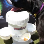 Cats and Dogs Watering Station at Petropolis 18