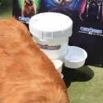Cats and Dogs Watering Station at Petropolis 2
