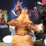 Cats and Dogs Watering Station at Petropolis 21