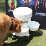 Cats and Dogs Watering Station at Petropolis 3