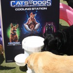 Cats and Dogs Watering Station at Petropolis 47
