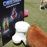 Cats and Dogs Watering Station at Petropolis 51